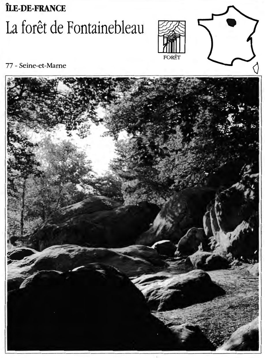 Prévisualisation du document La forêt de Fontainebleau - Seine-et-Marne