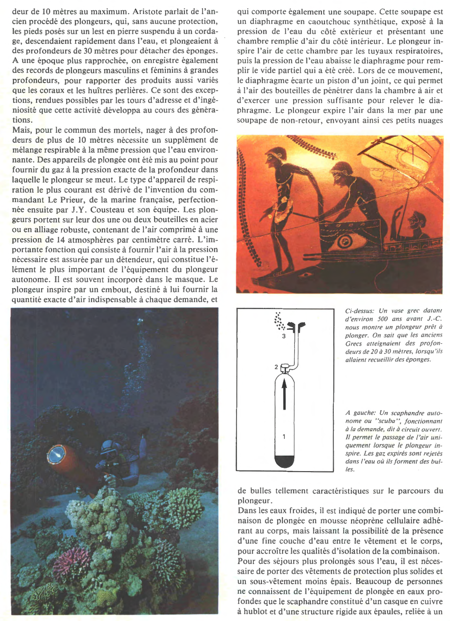 Prévisualisation du document La fragilité du plongeur