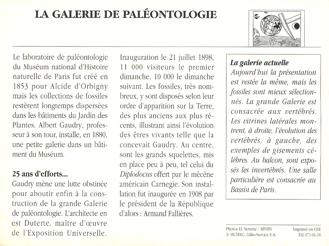 Prévisualisation du document La galerie de paléontologie