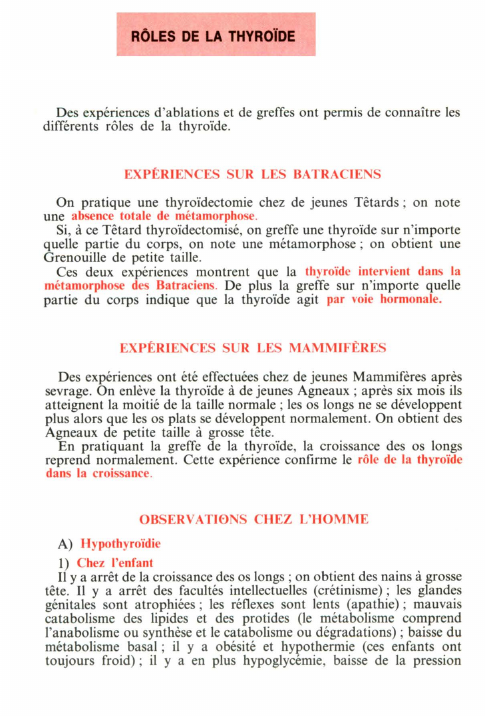 Prévisualisation du document LA GLANDE THYROIDE.