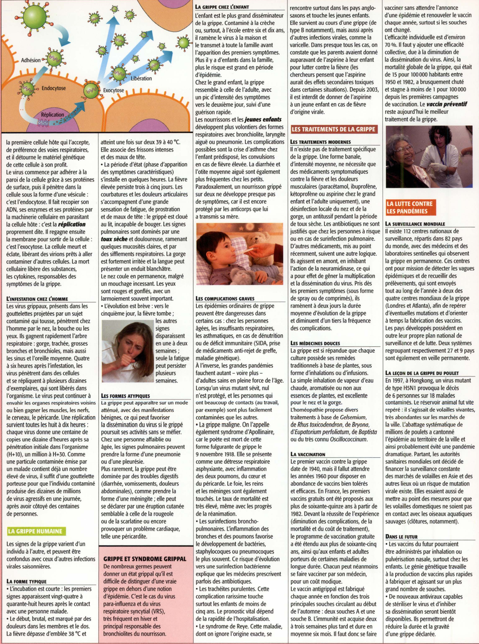 Prévisualisation du document La grippe (Travaux Personnels Encadrés – Médecine & Santé  – TS)