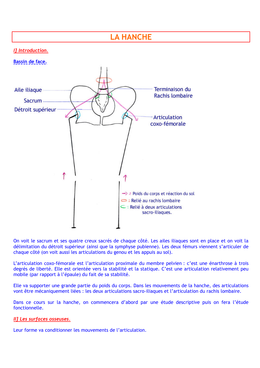 Prévisualisation du document LA HANCHE