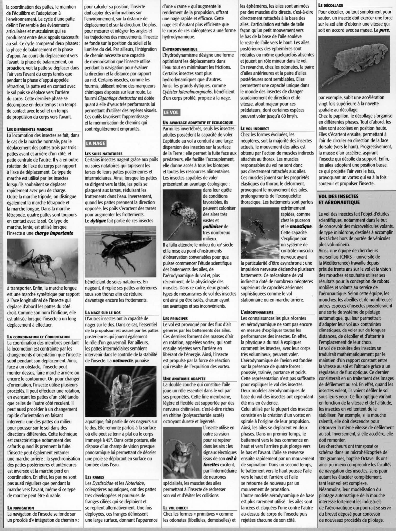 Prévisualisation du document La locomotion 	des  insectes