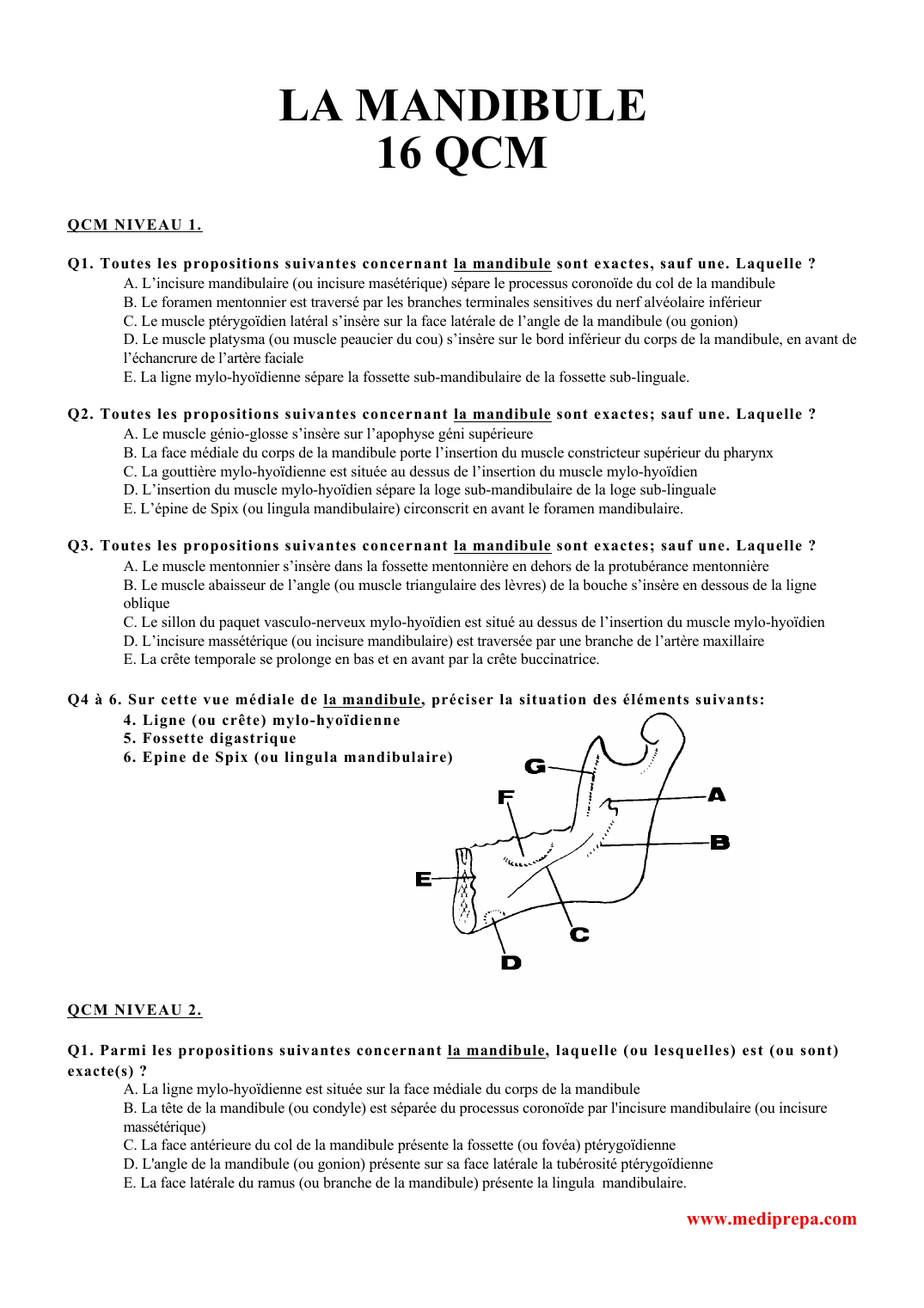 Prévisualisation du document LA MANDIBULE16 QCMQCM NIVEAU 1.
