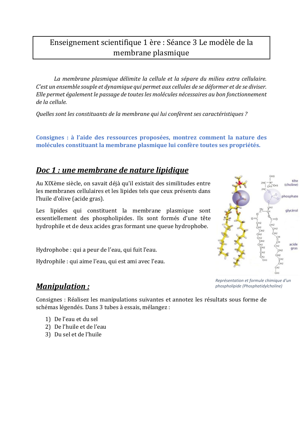 Prévisualisation du document La membrane plasmique