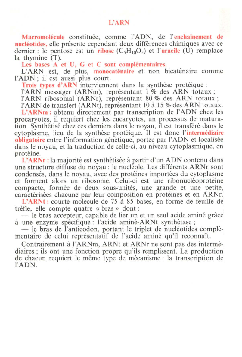 Prévisualisation du document LA MITOSE (SVT)