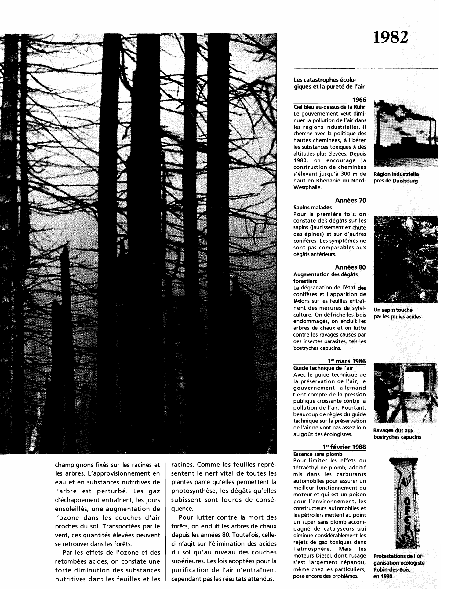 Prévisualisation du document La mort des forêts en Europe centrale