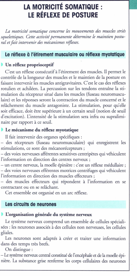 Prévisualisation du document LA MOTRICITÉ SOMATIQUE ·
LE RÉFLEXE DE POSTURE
La motricité somatique concerne les mouvements des muscles striés
squelettiques. Cette activité...