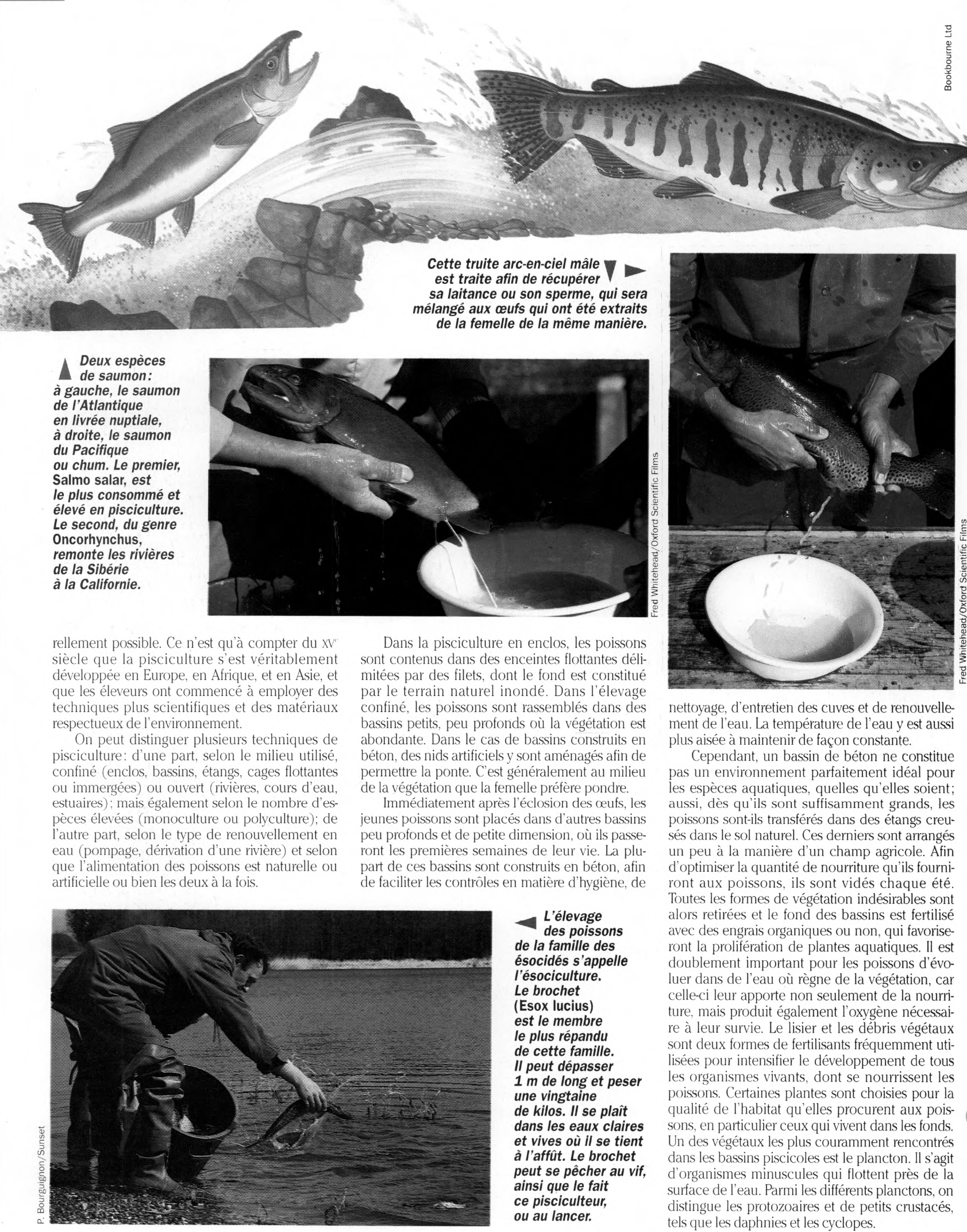 Prévisualisation du document La Pêche et l'Aquaculture