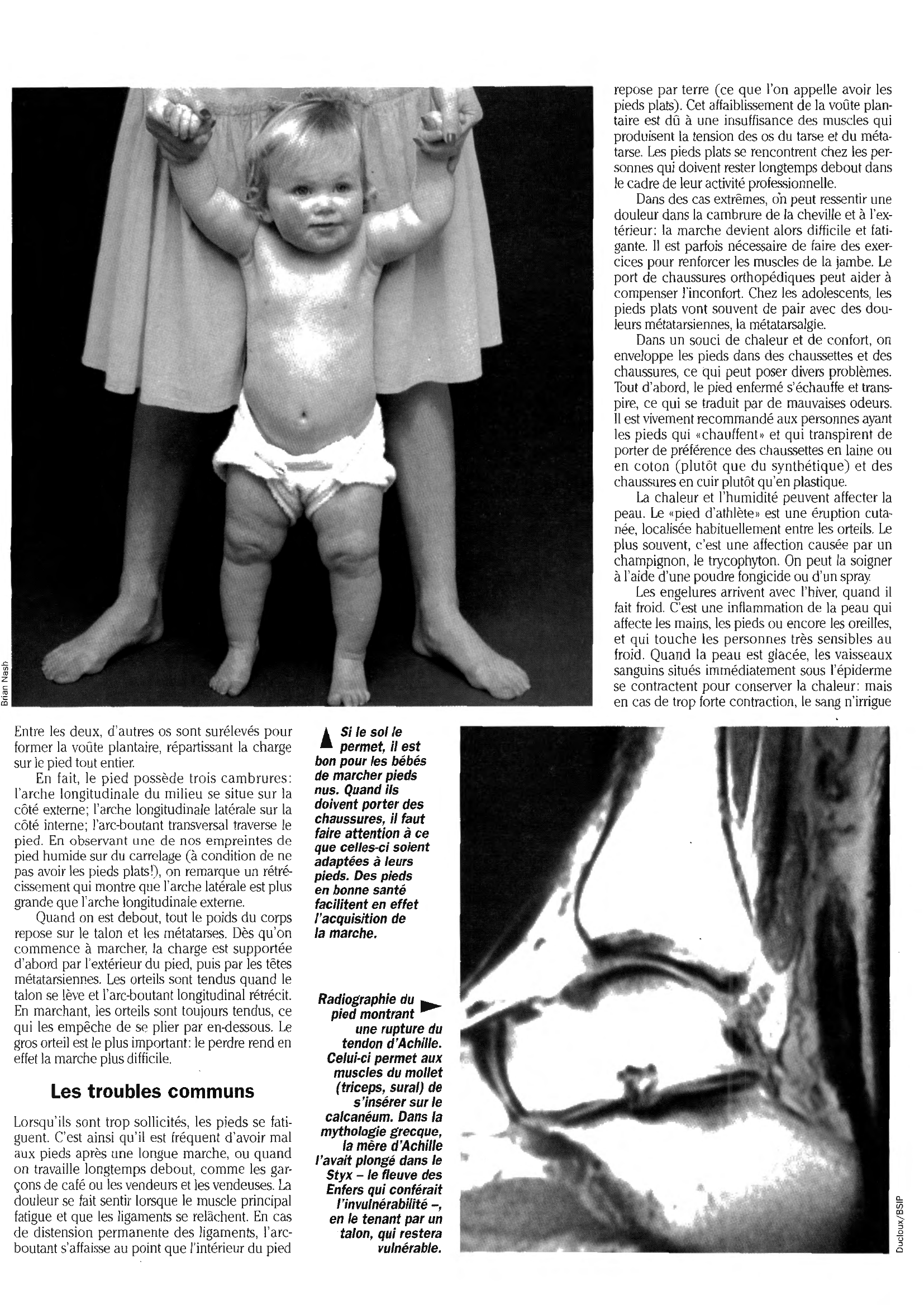 Prévisualisation du document La Pédicurie
