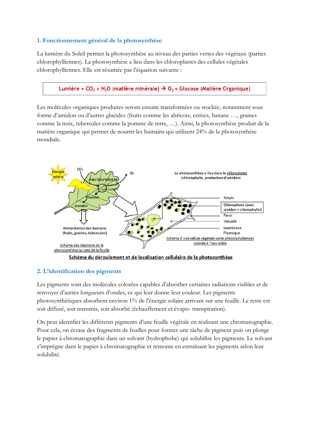 Prévisualisation du document La photosynthèse