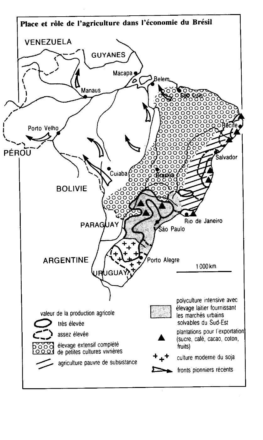 Prévisualisation du document La place et le rôle de l’agriculture dans l’économie du Brésil (1970)