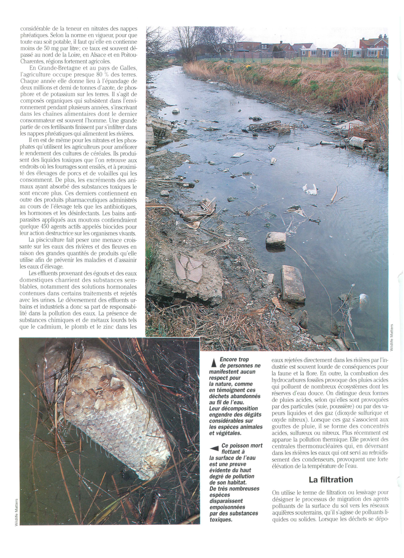 Prévisualisation du document La Pollution des rivières