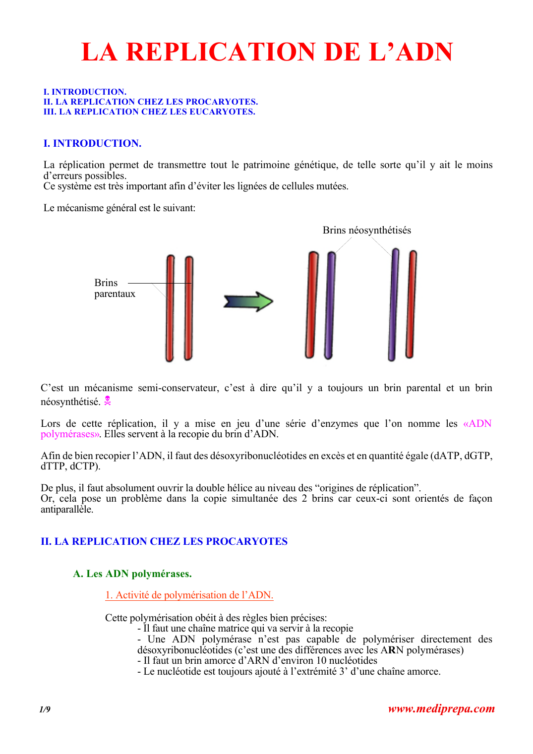 Prévisualisation du document LA REPLICATION DE L'ADNI.