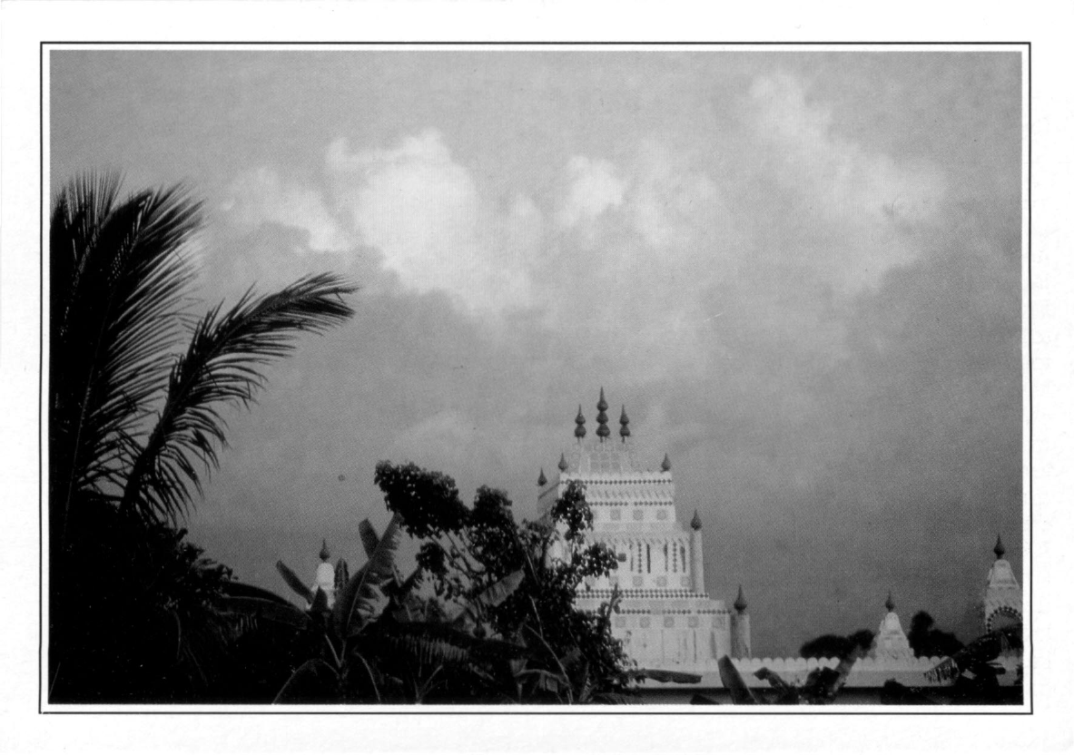 Prévisualisation du document LA RÉUNION  Saint-Gilles. Temple tamoul