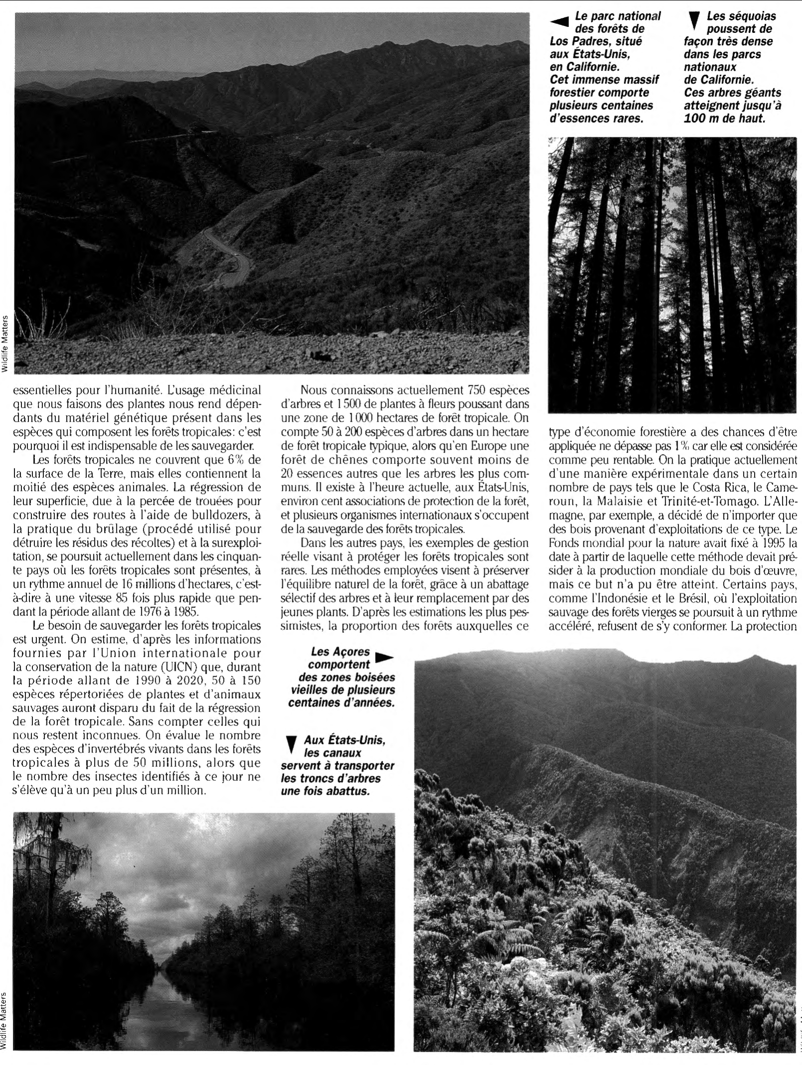 Prévisualisation du document La Sauvegarde des forêts