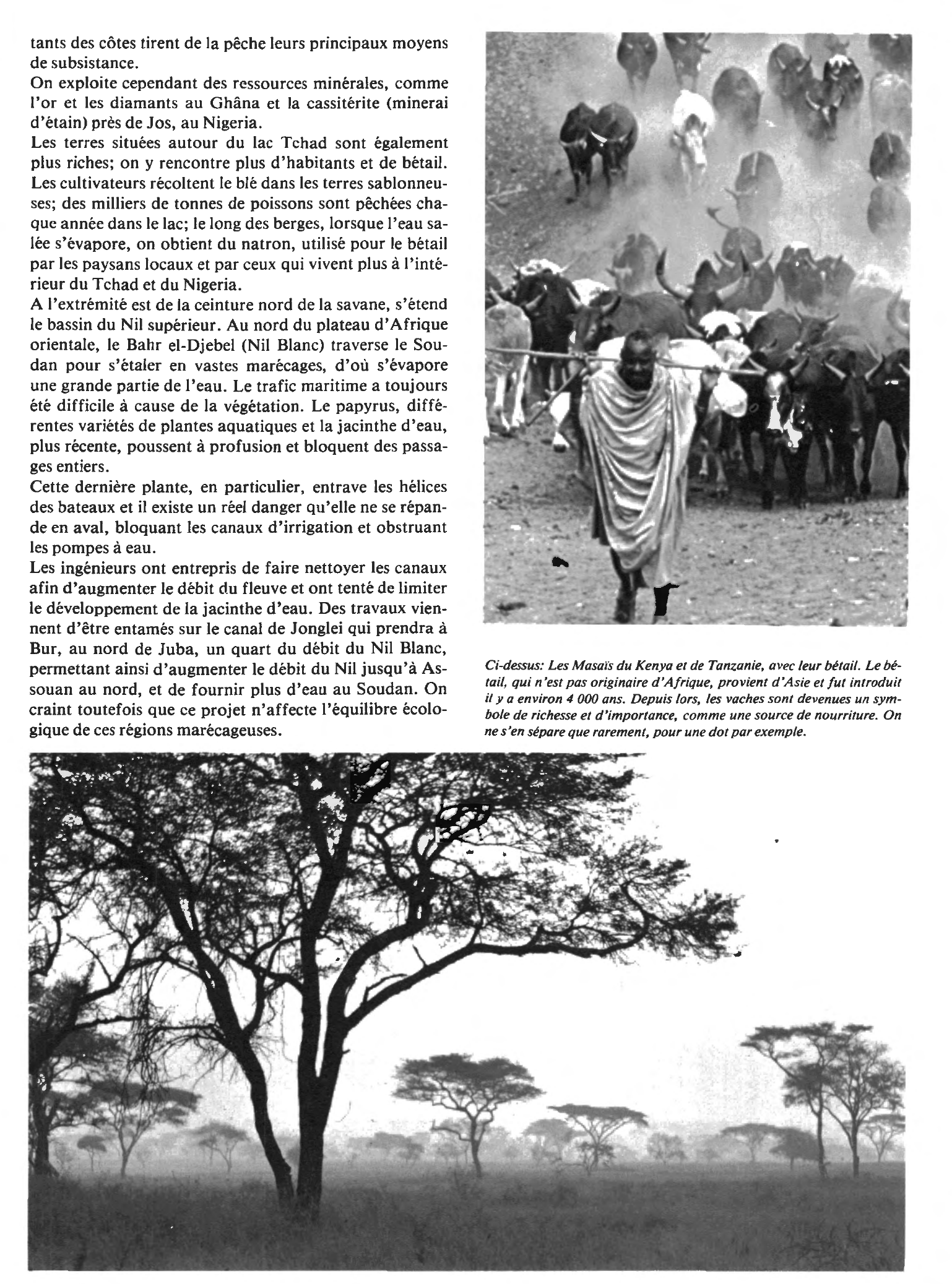 Prévisualisation du document La savane africaine
