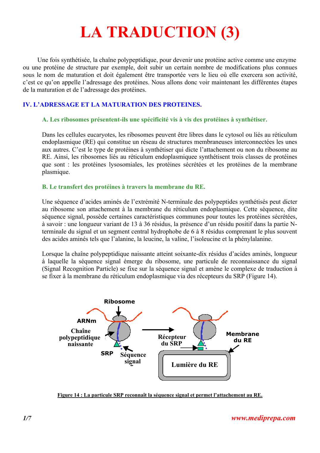 Prévisualisation du document LA TRADUCTION