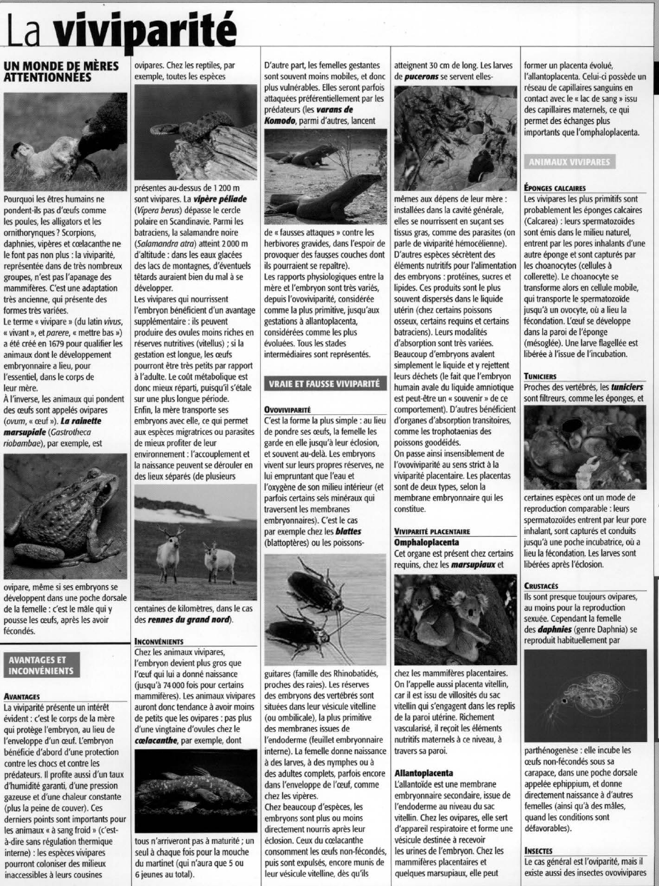 Prévisualisation du document La  viviparité