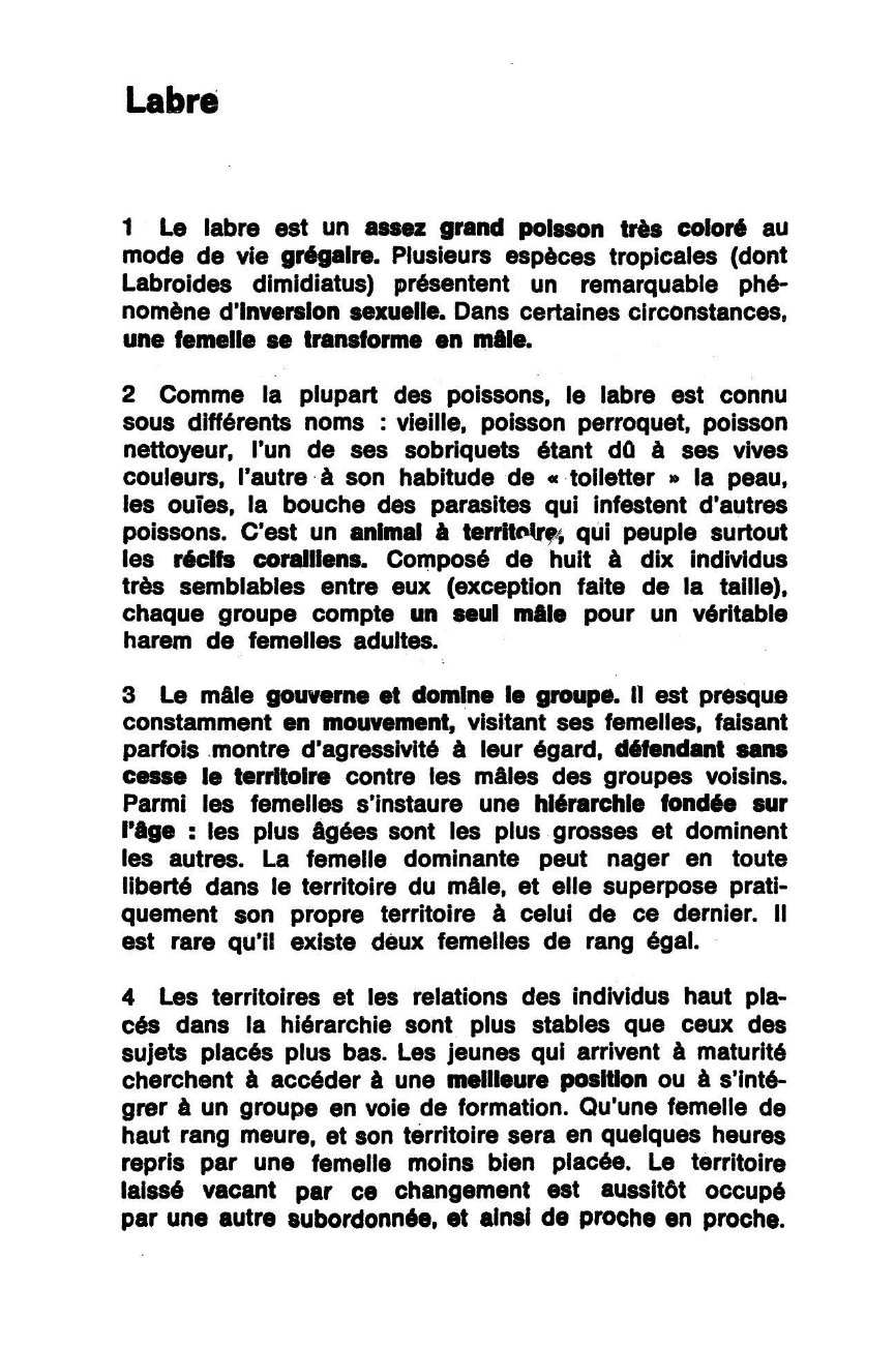 Prévisualisation du document Labre