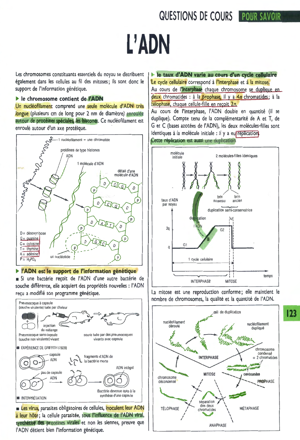 Prévisualisation du document L'ADN