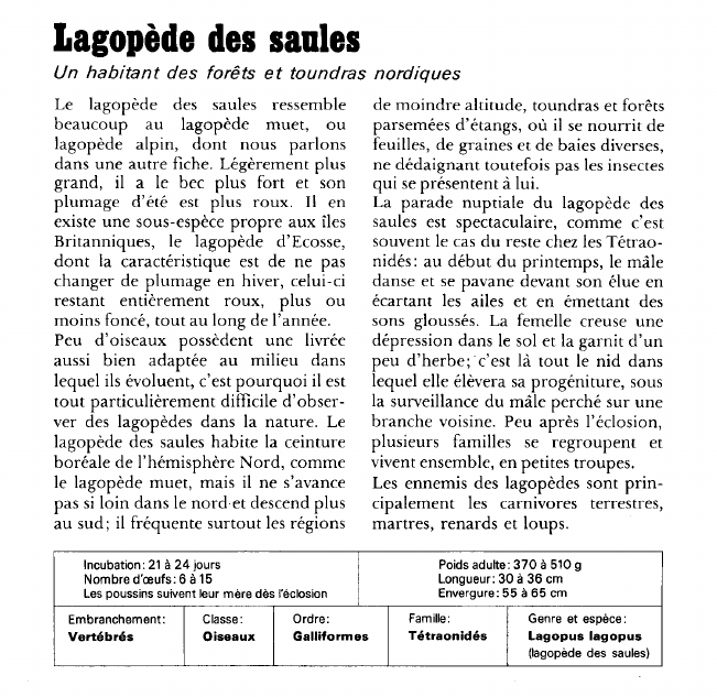 Prévisualisation du document Lagopède des saules:Un habitant des forêts et toundras nordiques.