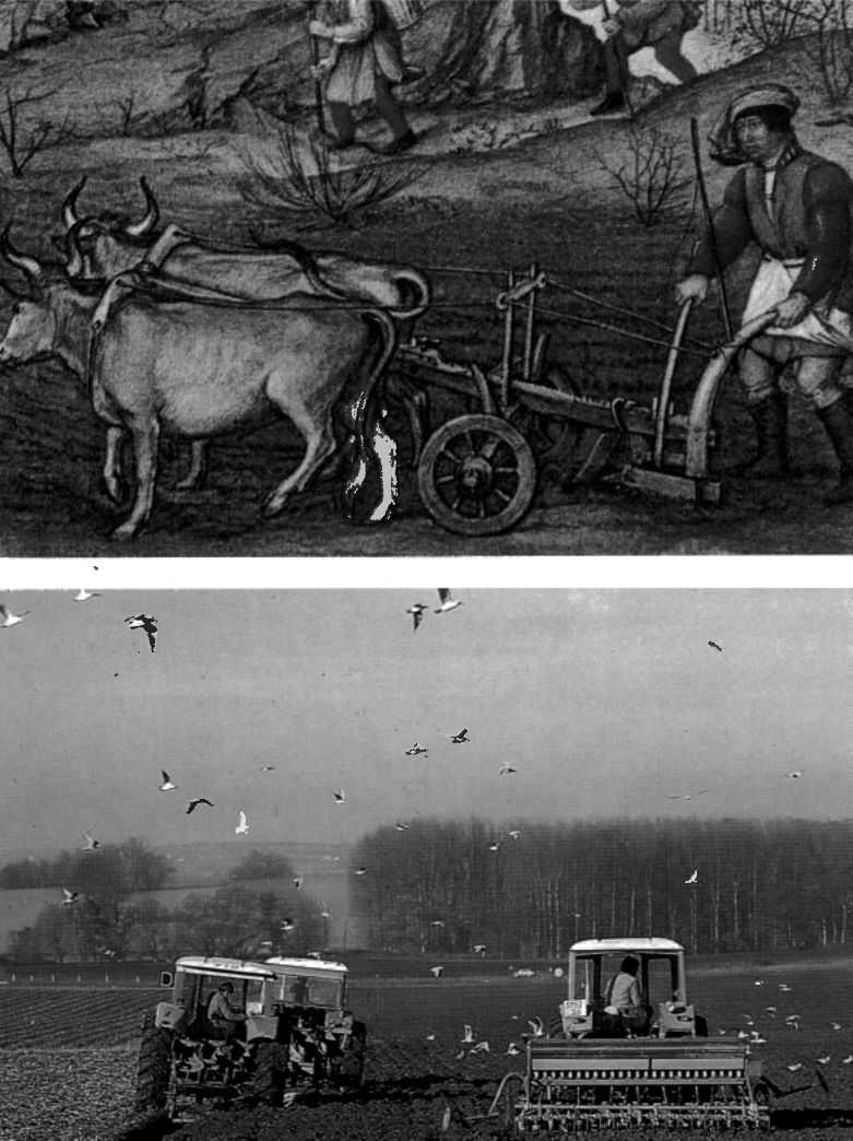 Prévisualisation du document L'AGRICULTURE (HISTOIRE).