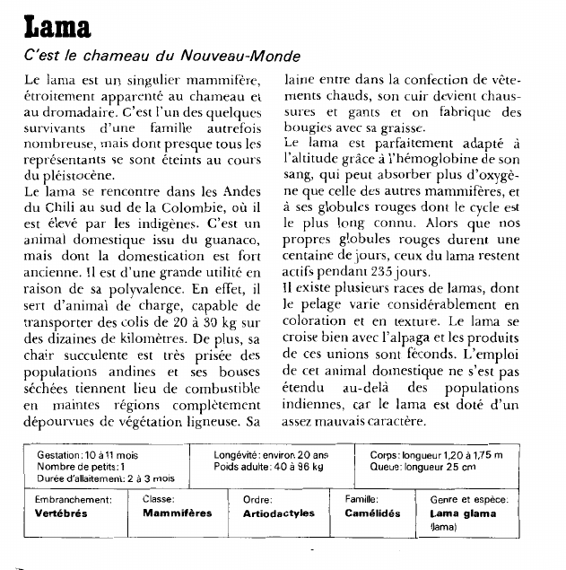 Prévisualisation du document Lama:C'est le chameau du Nouveau-Monde.