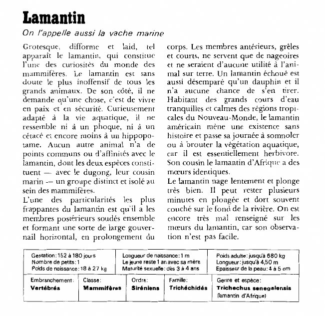 Prévisualisation du document Lamantin:On l'appelle aussi la vache marine.