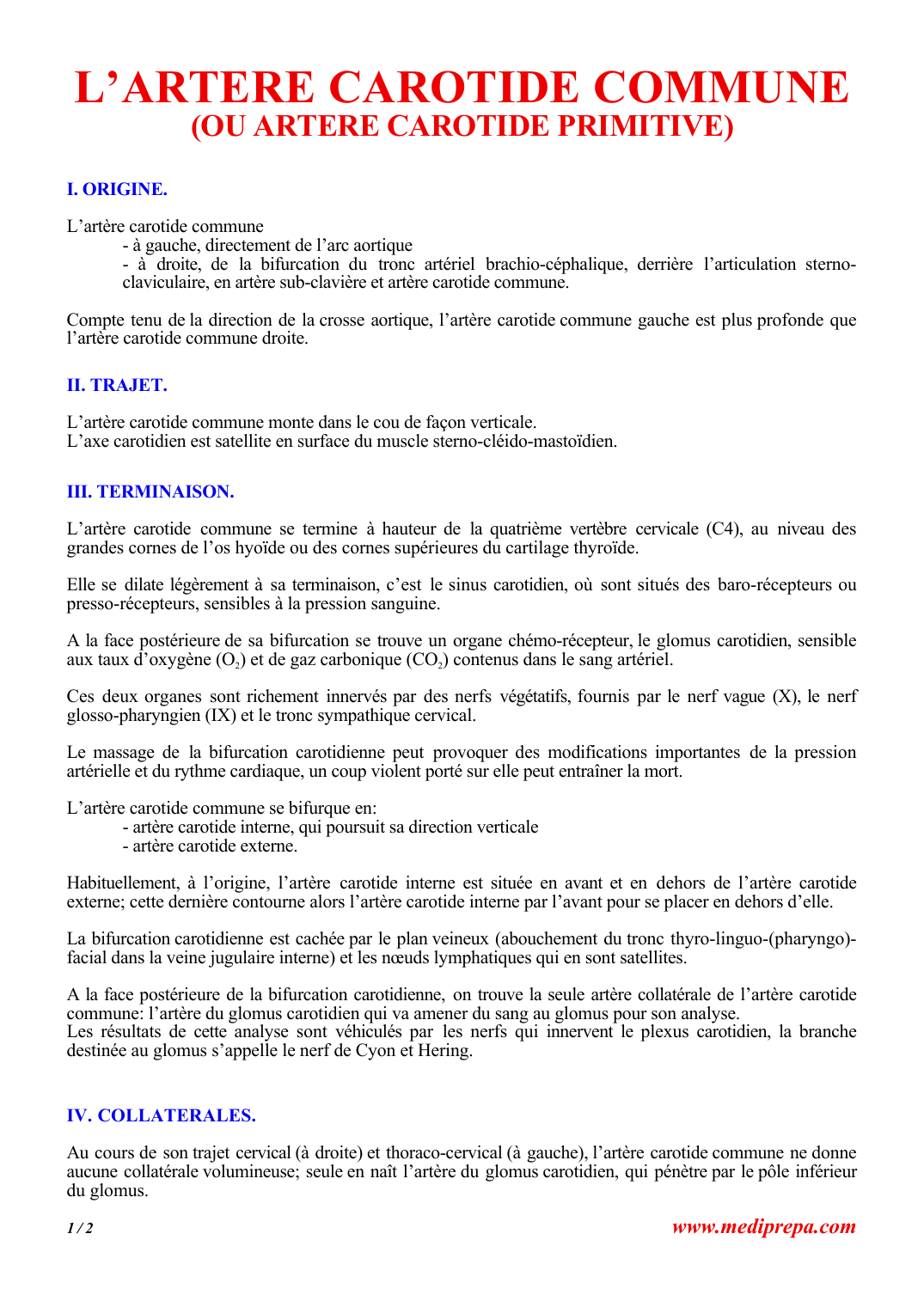Prévisualisation du document L'ARTERE CAROTIDE COMMUNE(OU ARTERE CAROTIDE PRIMITIVE).