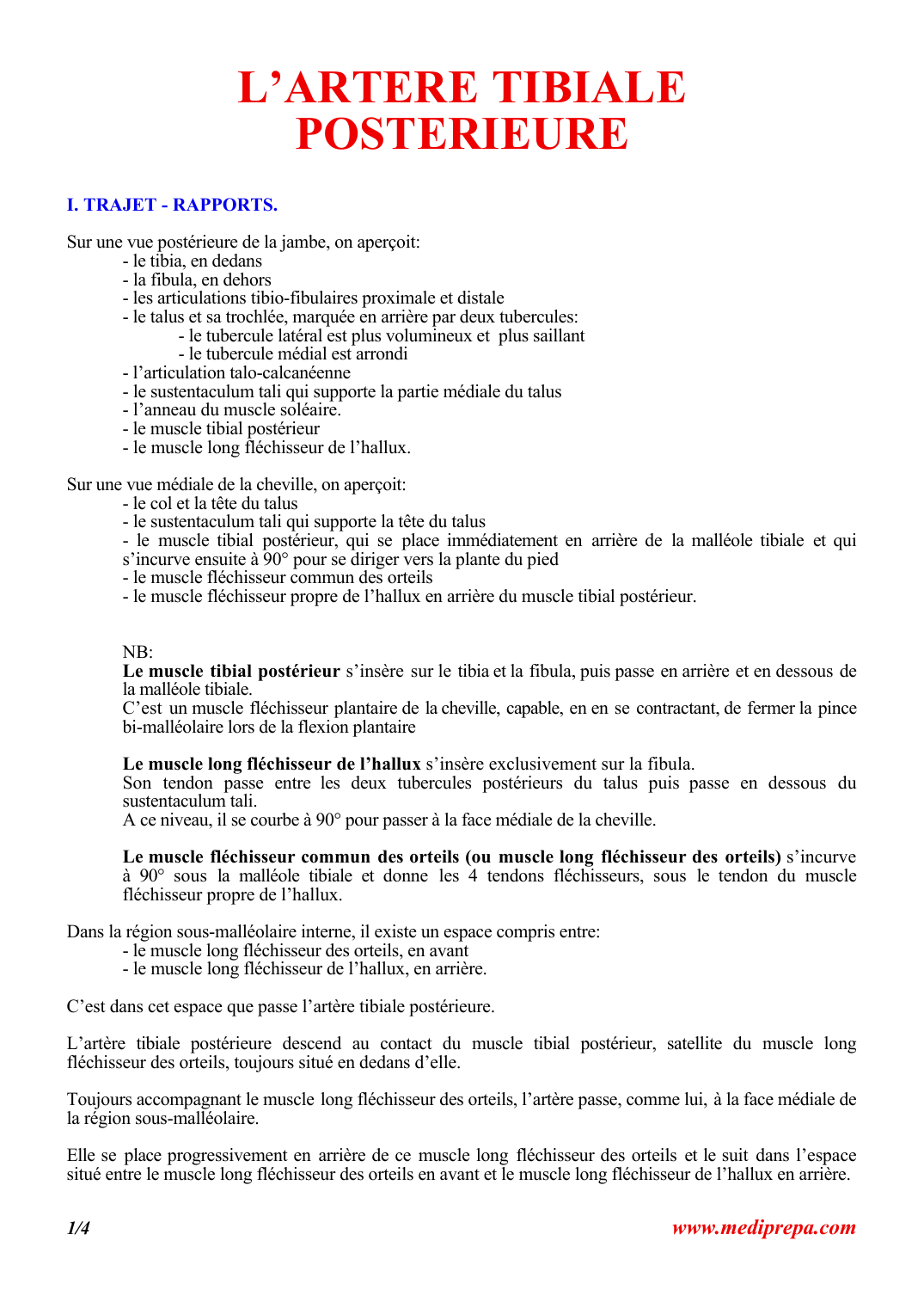 Prévisualisation du document L'ARTERE TIBIALE.