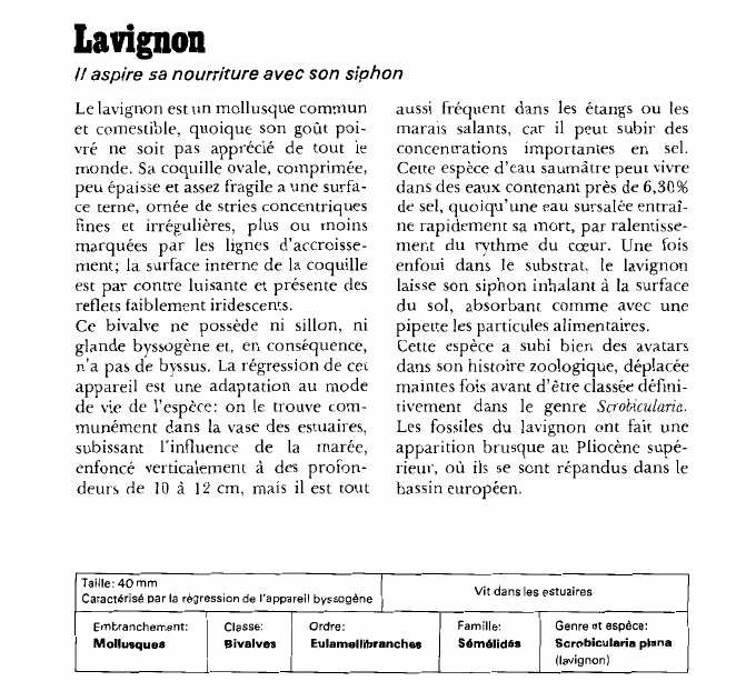 Prévisualisation du document LavignonIl aspire sa nourriture avec son siphon.