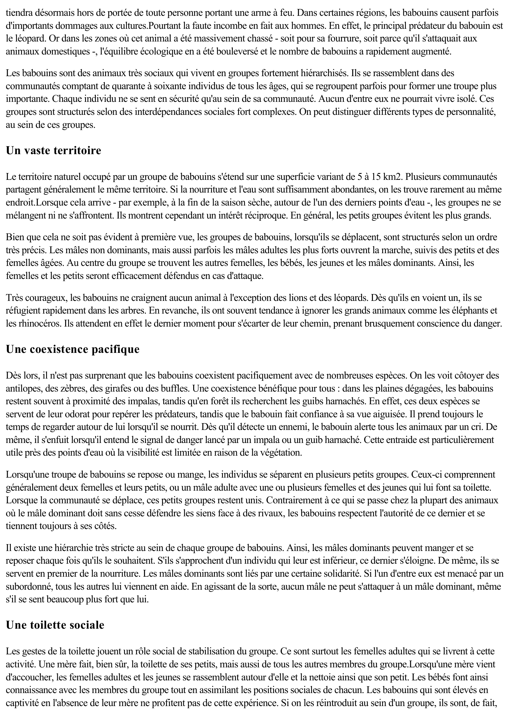 Prévisualisation du document Le babouin (Faune et Flore)