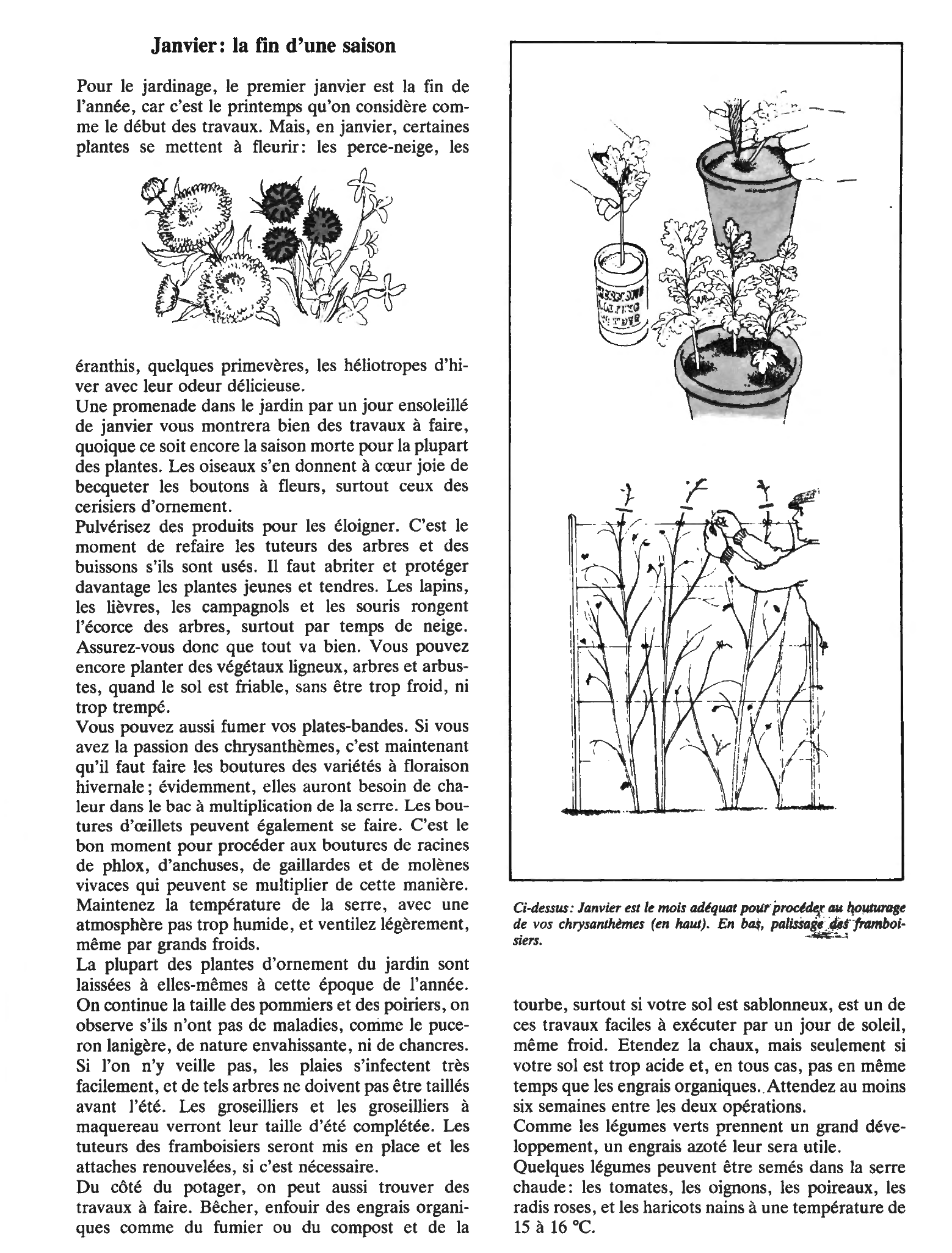 Le calendrier du jardinier