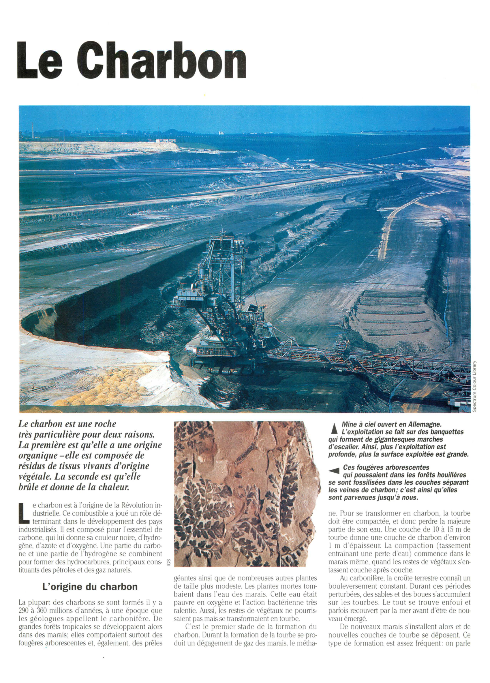 Prévisualisation du document Le charbon (énergie)