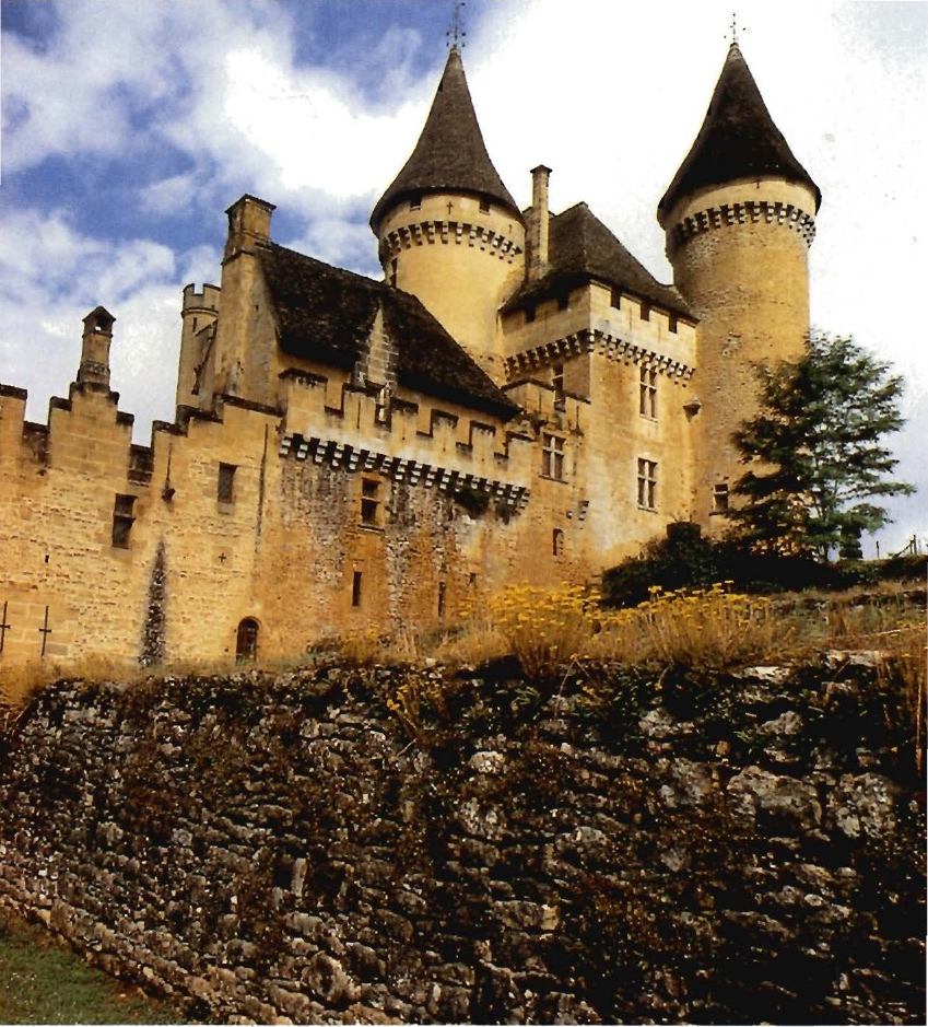 Prévisualisation du document Le château de Puymartin.