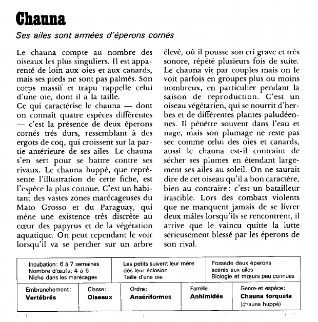 Prévisualisation du document Le chauna:Ses ailes sont armées d'éperons cornés.
