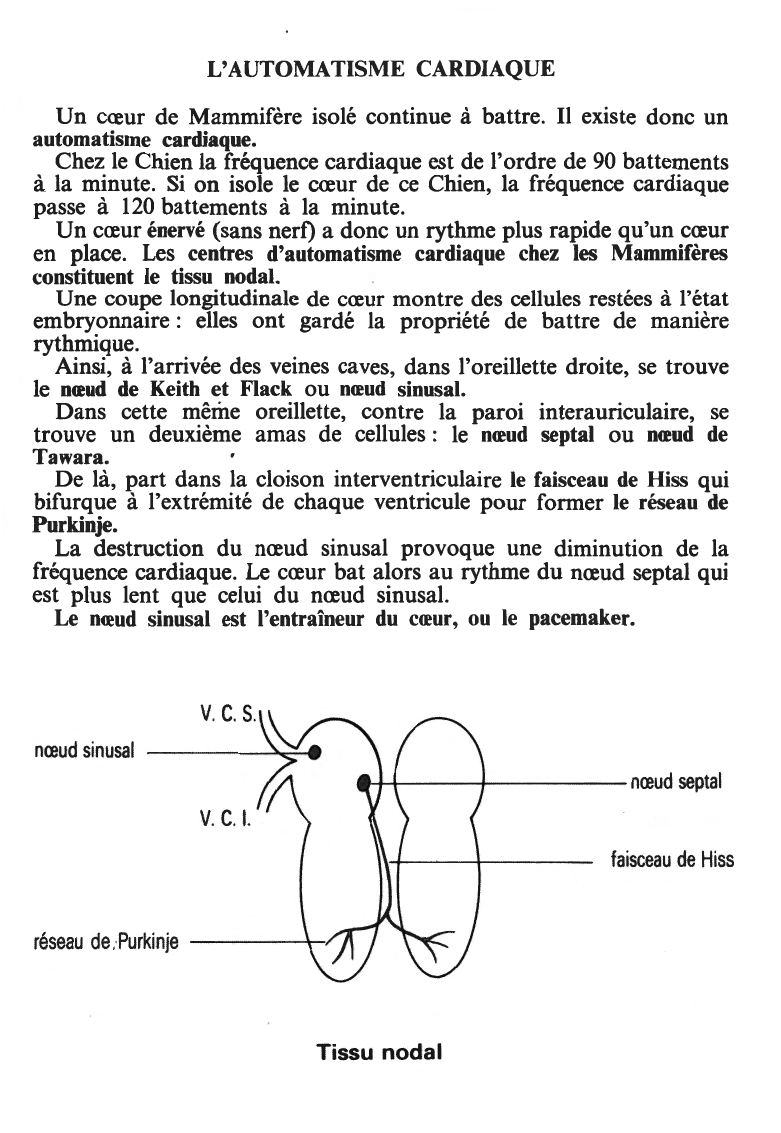 Prévisualisation du document Le coeur et l'activité cardiaque