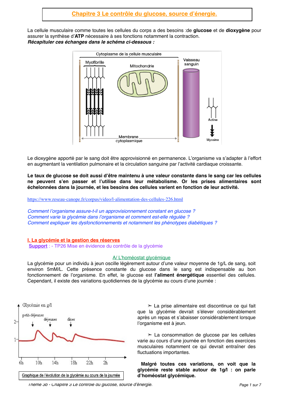 Prévisualisation du document Le contrôle du glucose, source d'énergie ?