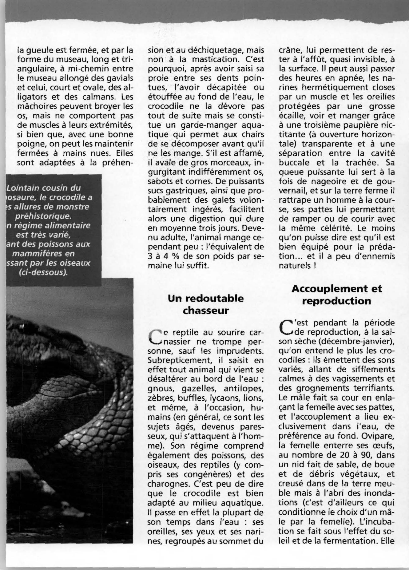 Prévisualisation du document le crocodile du Nil