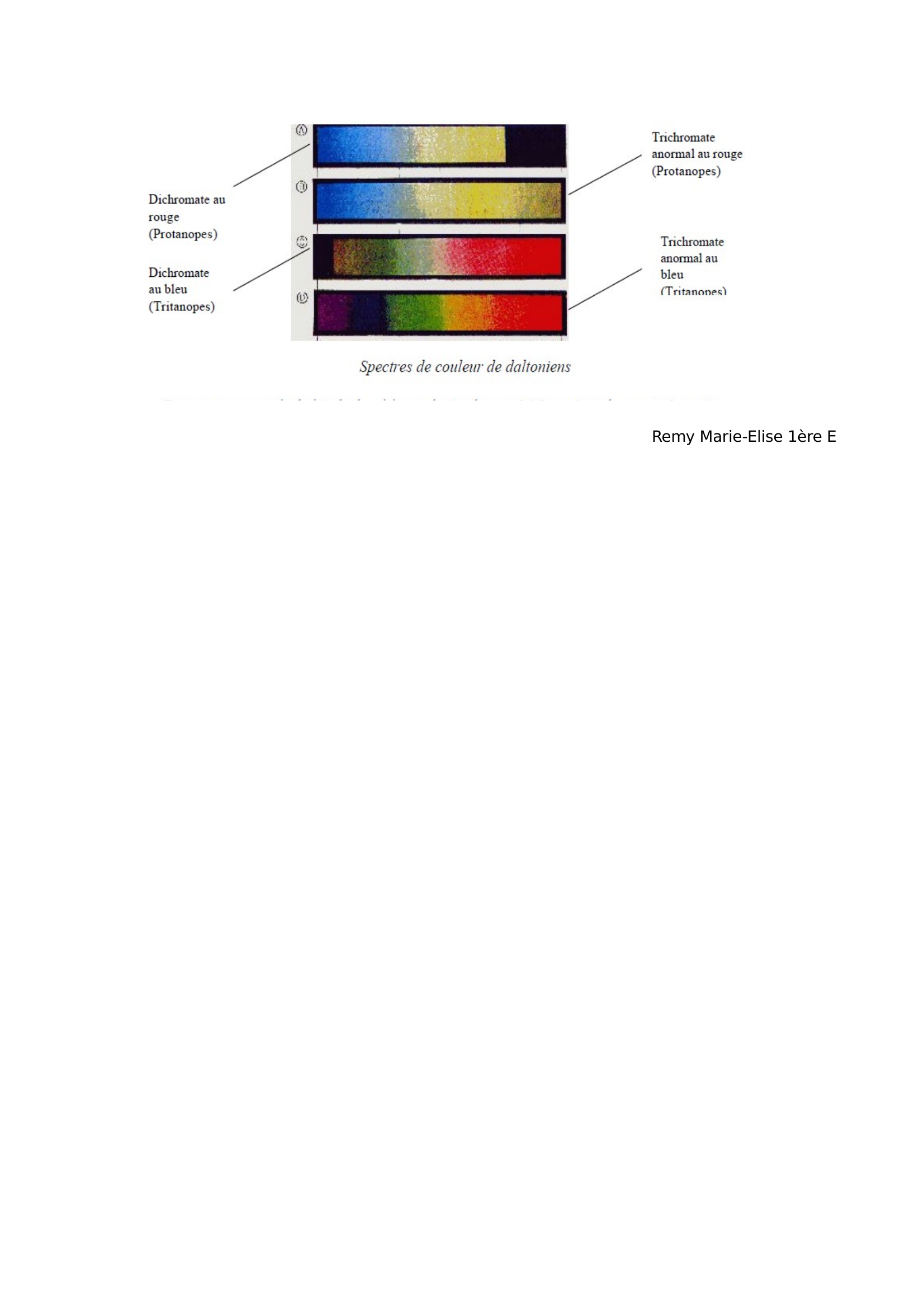 Prévisualisation du document Le daltonisme