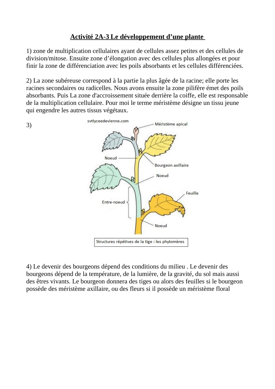 Prévisualisation du document le développement d'une plante