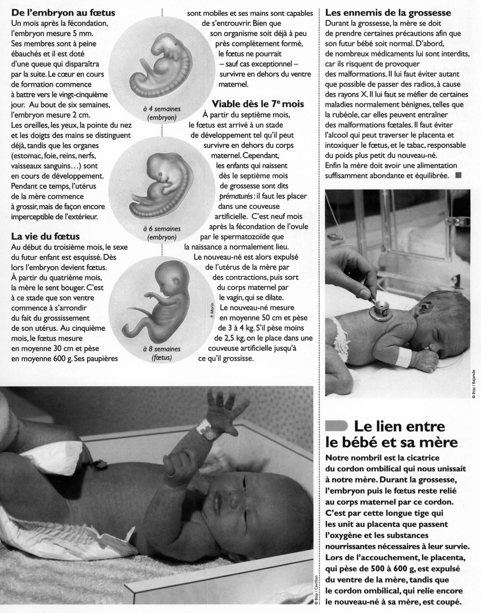 Prévisualisation du document Le foetus