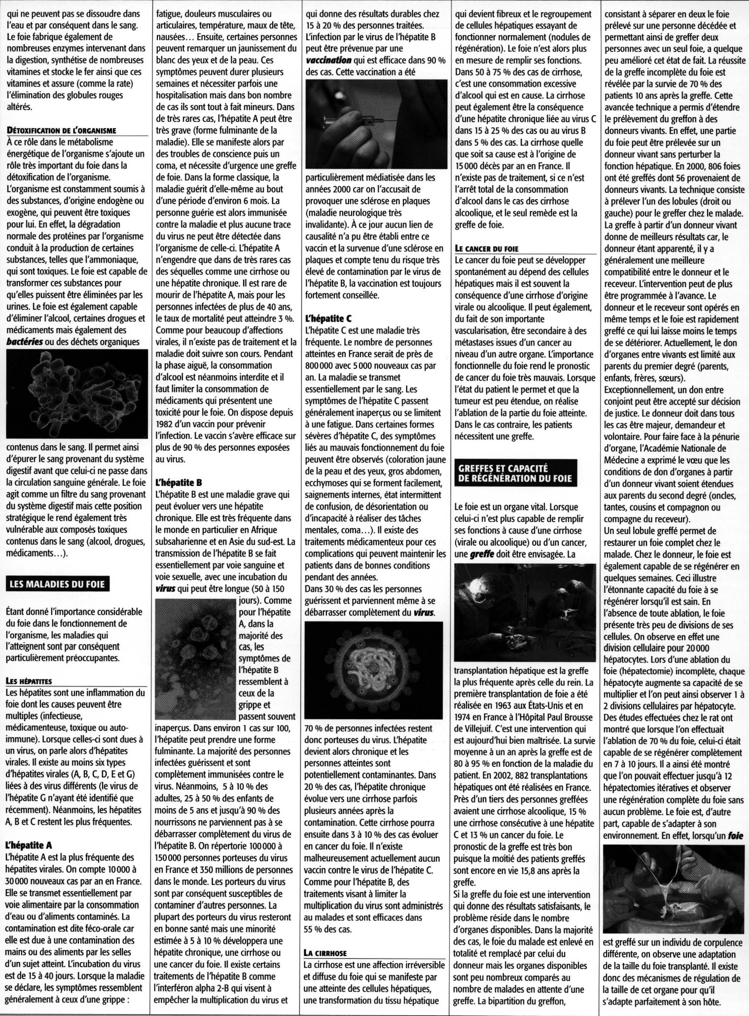 Prévisualisation du document LE FOIE: FONCTIONNEMENT ET MALADIES