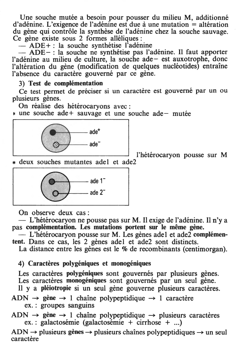Prévisualisation du document LE GÈNE (SVT)