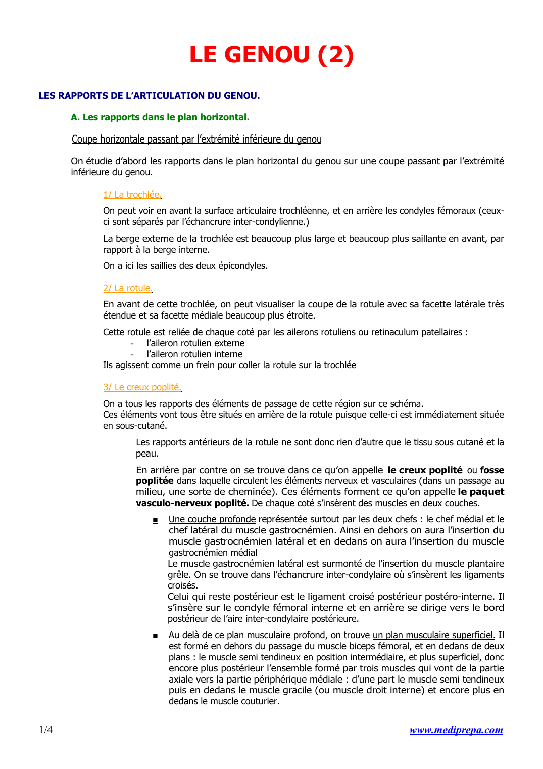 Prévisualisation du document LE GENOU (2)