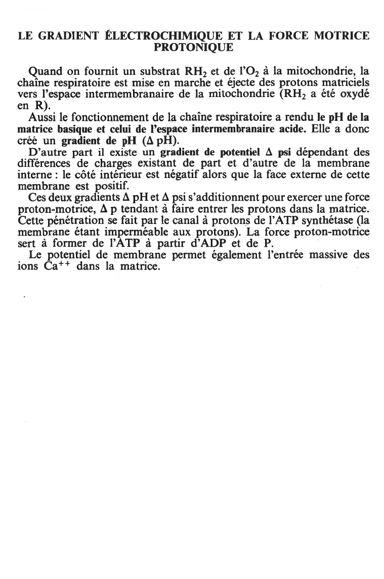 Prévisualisation du document LE GRADIENT ÉLECTROCHIMIQUE ET LA FORCE MOTRICE  PROTONIQUE