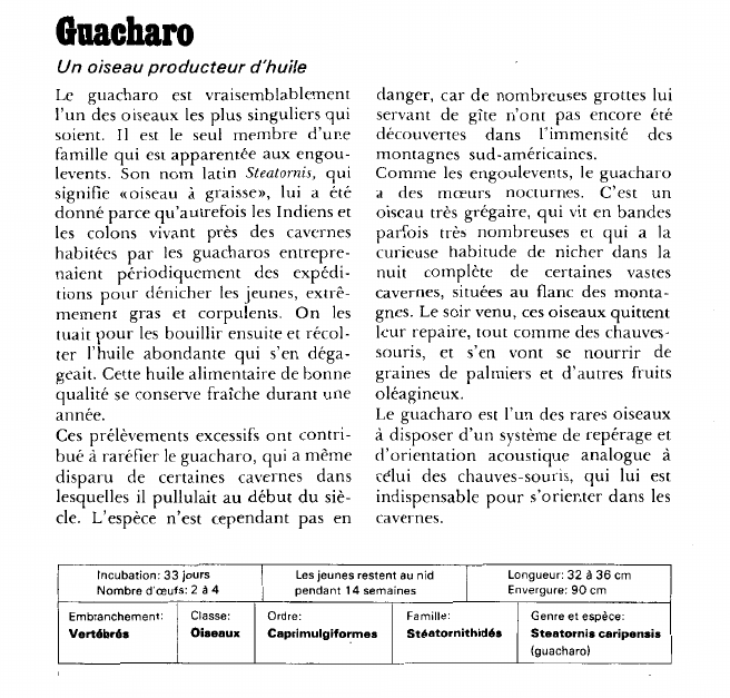 Prévisualisation du document Le guacharo:Un oiseau producteur d'huile.