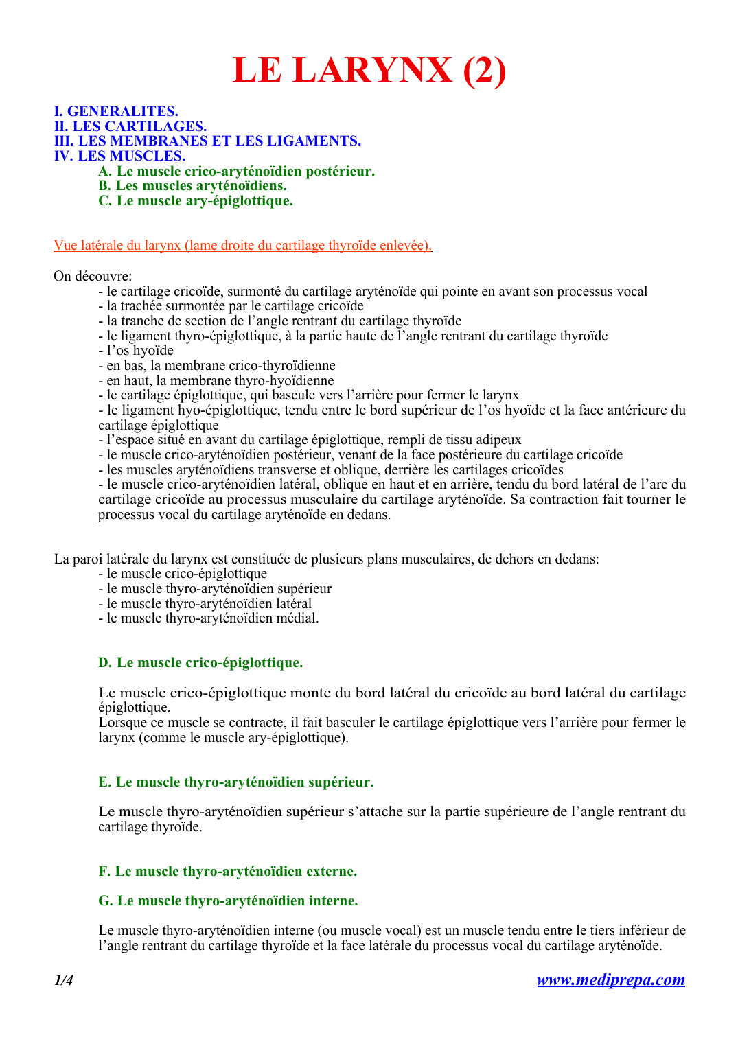 Prévisualisation du document LE LARYNX (2)