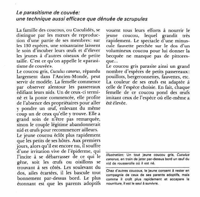 Prévisualisation du document Le parasitisme de couvée:une technique aussi efficace que dénuée de scrupules.